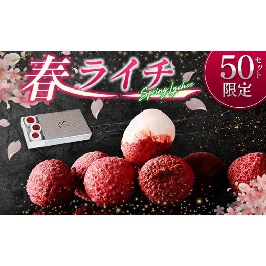 ふるさと納税 果物類 宮崎県 新富町 [50セット限定]旬を先取り 4月出荷の春ライチ「モリノライチ」数量限定 4月20日〜4月28日 期間内出荷 国産 ブランド フ…