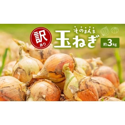 ふるさと納税 野菜類 玉ねぎ 香川県 東かがわ市   訳ありそのまんま玉ねぎ 約3kg