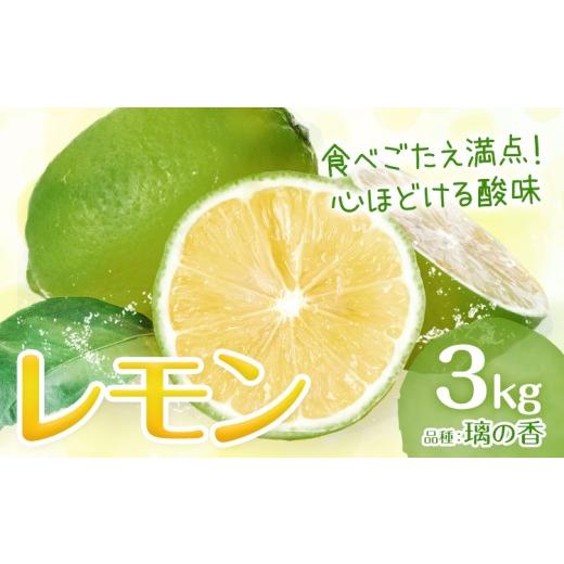 ふるさと納税 みかん・柑橘類 レモン 熊本県 津奈木町 レモン りのか 璃の香 3kg まる農園[2026年11月中旬-2027年1月中旬頃出荷]熊本県 津奈木町 青果物 れ…
