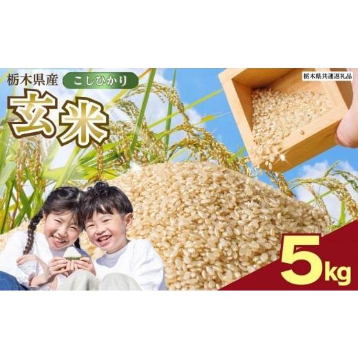 ふるさと納税 玄米 栃木県 矢板市 数量限定 お米 こしひかり 玄米 5kg 栃木県 矢板市