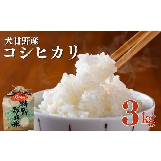 ふるさと納税 米 コシヒカリ 京都府 亀岡市 令和7年産 亀岡産 犬甘野産 こしひかり 精米 3kg 原田農園 白米 米 お米 こめ コメ ライス ご飯 ごはん ふっくら …