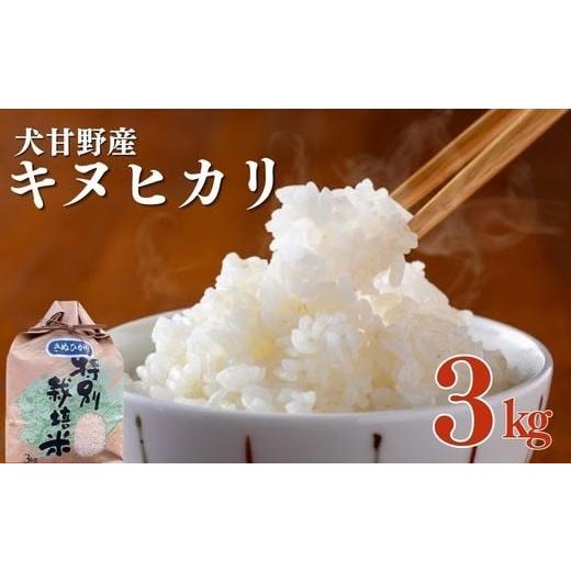 ふるさと納税 米 京都府 亀岡市 令和7年産 亀岡産 犬甘野産 きぬひかり 精米 3kg 原田農園 白米 米 お米 こめ コメ ライス ご飯 ごはん ふっくら つやつや お…