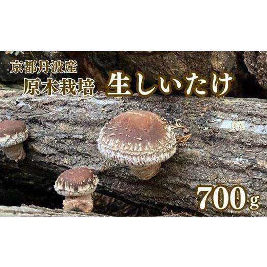 ふるさと納税 野菜類 きのこ 京都府 亀岡市 原木栽培 生しいたけ 700g 京都丹波産 きのこ 椎茸 肉厚 国産 お取り寄せ 人気 北海道・沖縄・離島への配送不可 2…