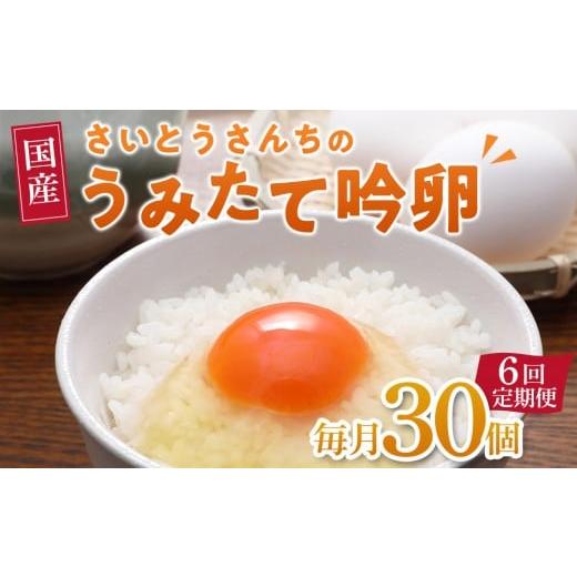 ふるさと納税 卵(鶏、烏骨鶏等) 宮城県 角田市 6回定期便 さいとうさんちのうみたて吟卵 30個入り
