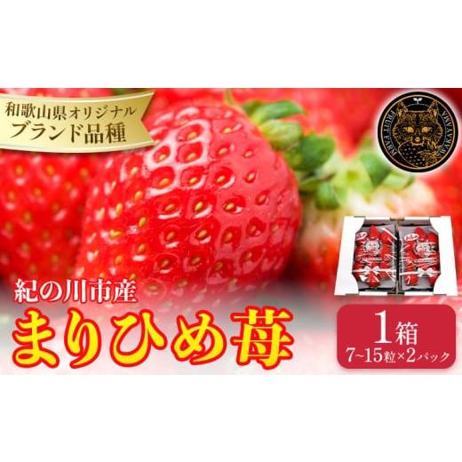 ふるさと納税 いちご 和歌山県 紀の川市 和歌山県産 まりひめ苺 1箱 7〜15粒 2パック いちご イチゴ 株式会社ふるーつふぁーむわかやま [12月下旬-5月中旬頃…