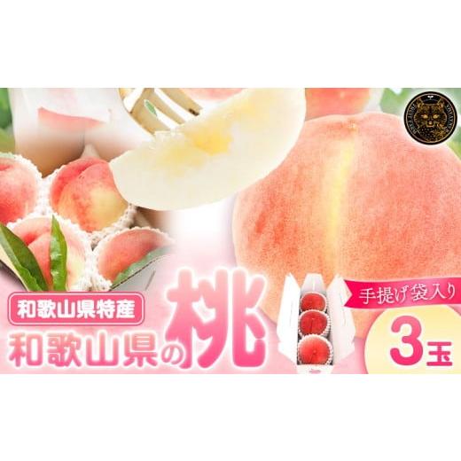 ふるさと納税 もも 和歌山県 紀の川市 和歌山県の桃 3玉 手提げ袋入り もも 株式会社ふるーつふぁーむわかやま [7月上旬-8月中旬頃出荷] 和歌山県 紀の川市