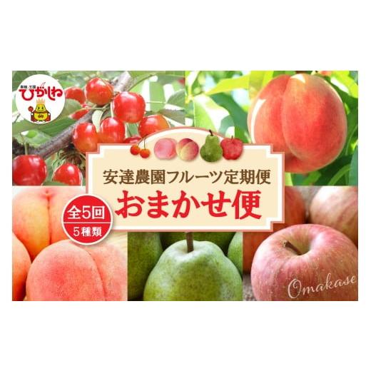 ふるさと納税 果物類 さくらんぼ 山形県 東根市 2026年 5回定期便 安達農園フルーツ定期便 おまかせ便 安達農園提供 山形県 東根市 hi037-011