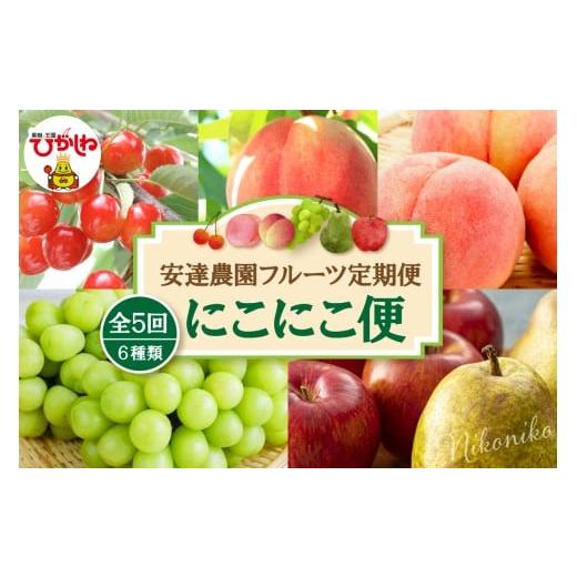 ふるさと納税 果物類 さくらんぼ 山形県 東根市 2026年 5回定期便 安達農園フルーツ定期便 にこにこ便 安達農園提供 山形県 東根市 hi037-012