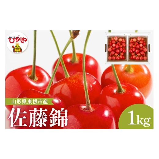 ふるさと納税 果物類 さくらんぼ 山形県 東根市 2026年産 さくらんぼ「佐藤錦」秀品 1kgバラ詰め (500g×2パック) Lサイズ以上 安達農園提供 山形県 東根市 h…