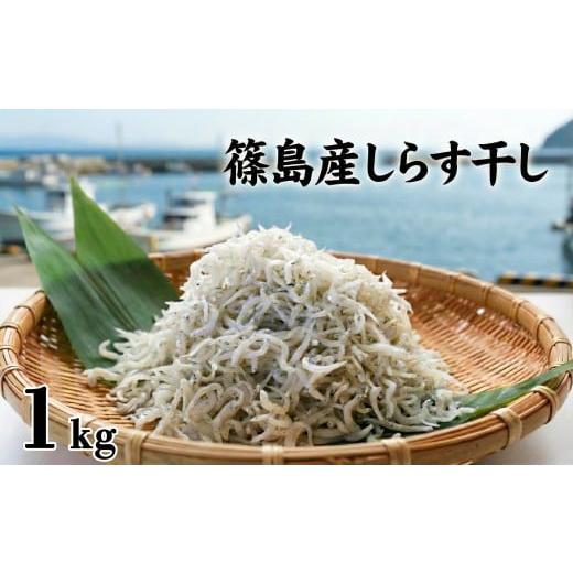 ふるさと納税 魚貝類 しらす 愛知県 南知多町 特別寄附額 スピード発送 篠島産 訳あり しらす干し1kg シラス 南知多産 愛知 特別寄附額 訳ありしらす干し1kg…