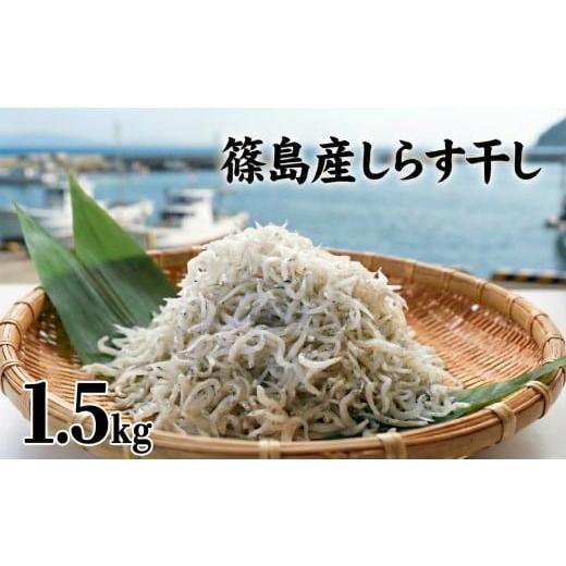 ふるさと納税 魚貝類 しらす 愛知県 南知多町 スピード発送 篠島産 訳あり しらす干し1.5kg シラス 南知多産 愛知 訳ありしらす干し1.5kg:11,000円