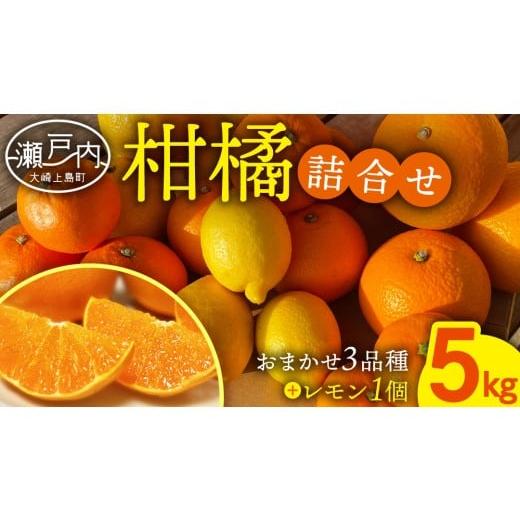 ふるさと納税 みかん・柑橘類 レモン 広島県 大崎上島町 旬の柑橘 約5kg の 詰め合わせ ( おまかせ3品種 と レモン ) 瀬戸内レモン 八朔 はっさく 柑橘 蜜柑 …