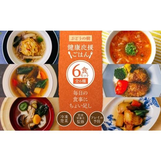 ふるさと納税 惣菜・レトルト 冷凍 福岡県 岡垣町 毎日の食事にちょい足し ぶどうの樹の 「 健康応援ごはん 」 6食セット 冷凍 おかず 簡単 時短 料理 シュウ…