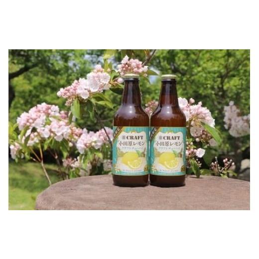 ふるさと納税 焼酎 セット 神奈川県 小田原市 小田原レモンクラフトチューハイ 24本セット