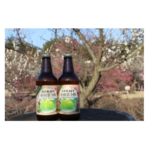 ふるさと納税 焼酎 セット 神奈川県 小田原市 小田原うめクラフトチューハイ 24本セット