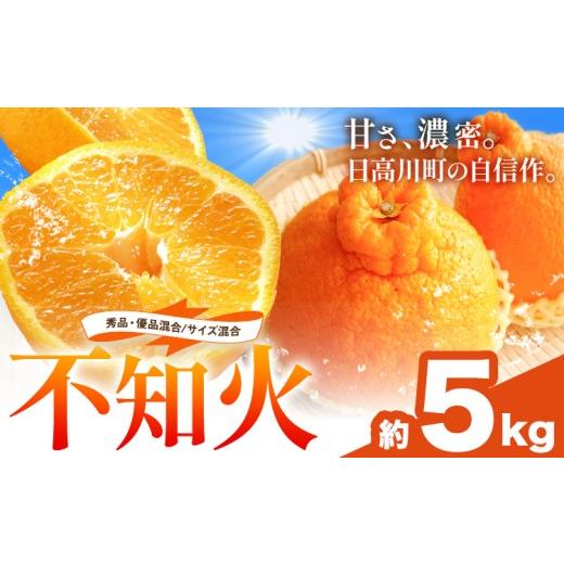 ふるさと納税 みかん・柑橘類 和歌山県 日高川町 不知火 秀品・優品混合/サイズ混合 5kg 中畑農園[2026年1月下旬-2月末頃出荷] 和歌山県 日高川町 不知火 …
