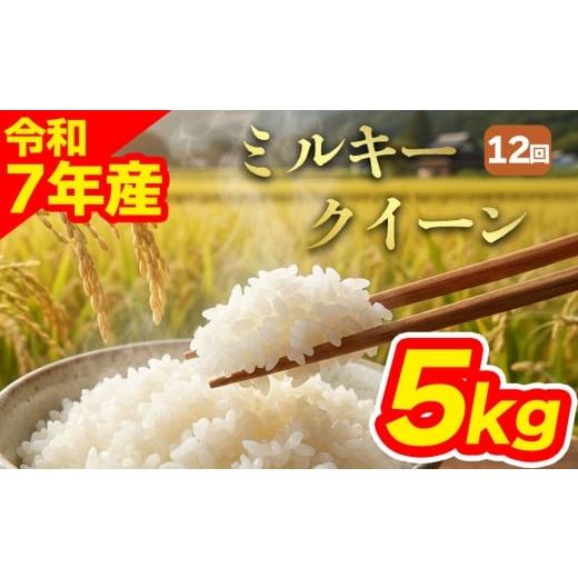 ふるさと納税 米 コシヒカリ 熊本県 阿蘇市 選べる回数 定期便全12回 特別栽培米 アグロスタイルのお米 ミルキークイーン 5kg ×12回 お米 精米 白米 米 ごは…