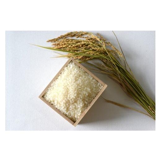 ふるさと納税 米 ヒノヒカリ 山梨県 甲斐市 2025年度産 ミクニ農園 ヒノヒカリ 5kg お米 コメ 白米 精米ご飯 山梨県 甲斐市産 精米 産地直送 AD-3…