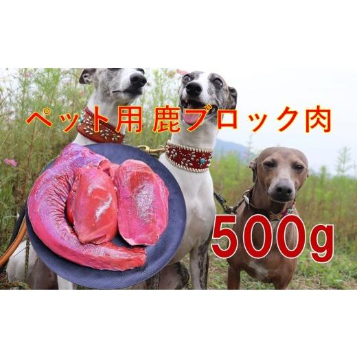 ふるさと納税 鹿肉 兵庫県 朝来市 ヘ゜ット用 鹿 ブロック肉 部位おまかせ 500g 無添加 真空冷凍 新鮮 大型犬 小型犬 中型犬 わんぱく ペットフード ヘ゜ット…