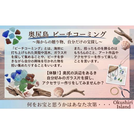 ふるさと納税 体験チケット 北海道 奥尻町 ビーチコーミング体験2名様 2名様
