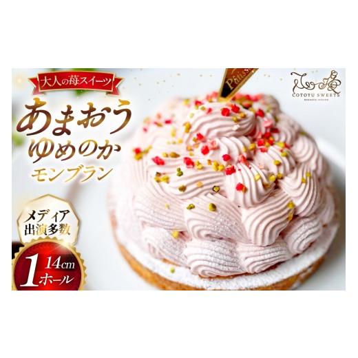 ふるさと納税 ケーキ・カステラ モンブラン 長崎県 平戸市 期間限定発送 母の日ギフト いちご あまおう ゆめのか モンブラン タルト 1ホール 14cm 心優-Cotoy…