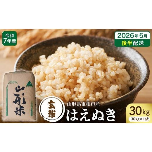 ふるさと納税 米 はえぬき 山形県 東根市  令和7年産 2026年5月後半発送 玄米 はえぬき30kg 山形県 東根市産 深瀬商店提供 hi053-065-053 2026年5月後半発送の画像