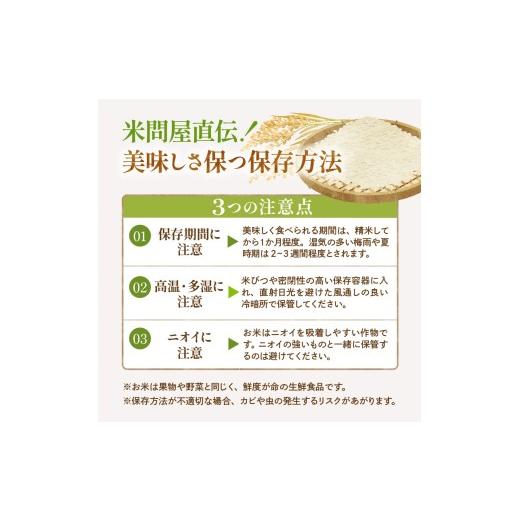 ふるさと納税 米 はえぬき 山形県 東根市  令和7年産 2026年5月後半発送 玄米 はえぬき30kg 山形県 東根市産 深瀬商店提供 hi053-065-053 2026年5月後半発送の画像