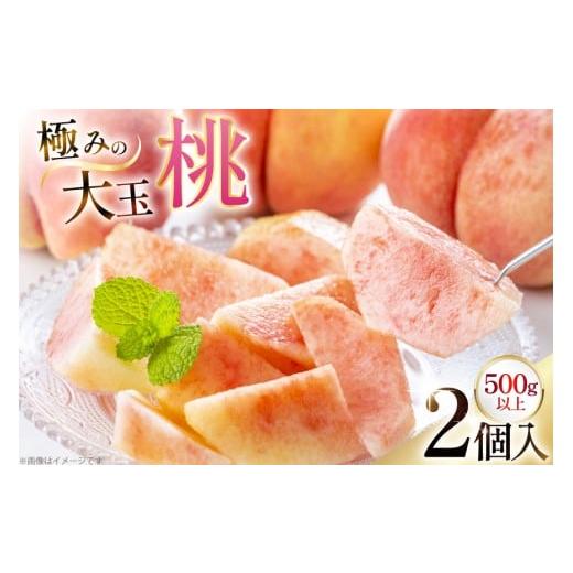 ふるさと納税 もも 山形県 高畠町 期間限定発送 桃 さくら白桃 極みの大玉 500g以上 2玉 東城農園 山形県 高畠町 tk06ayt370006 もも モモ 白桃 大玉 フルー…