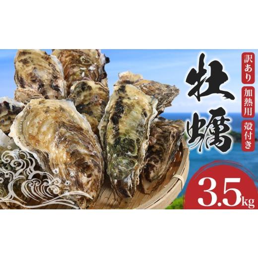 ふるさと納税 魚貝類 三重県 南伊勢町 訳あり 牡蠣 3.5kg かき 加熱用 国産 三重県 南伊勢 伊勢 志摩 城水産 12000円 一万二千円 15000円以下 一万五千円以下 …