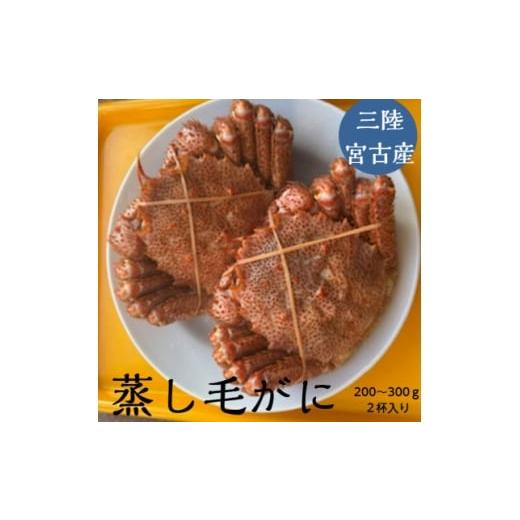 ふるさと納税 カニ 毛ガニ 岩手県 宮古市 三陸宮古産 蒸し毛ガニ 200g〜300g×2杯 1711362
