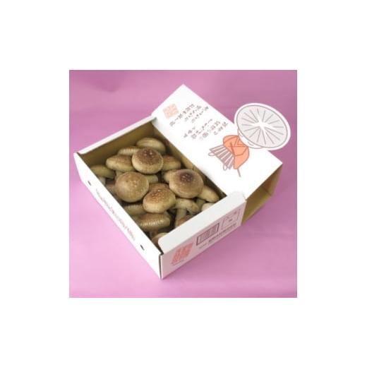 ふるさと納税 野菜類 きのこ 徳島県 阿南市 徳島県産菌床生椎茸 しいたけ侍 20枚入 1714390