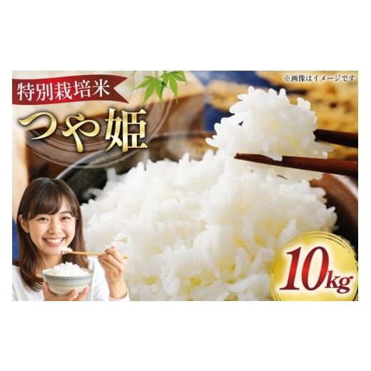 ふるさと納税 米 つや姫 山形県 高畠町 米 令和7年 特別栽培米 つや姫 10kg はまえん 山形県 高畠町 tk06ayt030005 10キロ お米 ブランド米 ごはん ご飯 白米 …