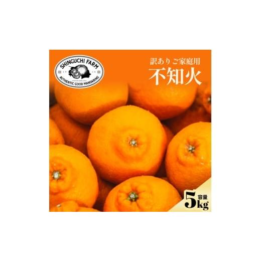 ふるさと納税 みかん・柑橘類 デコポン 愛媛県 八幡浜市 数量限定 2026年2月下旬より順次発送 訳あり 不知火 5kg C70-170 1715687