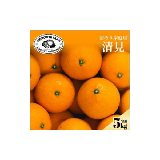 ふるさと納税 みかん・柑橘類 愛媛県 八幡浜市 数量限定 2026年2月下旬より順次発送 訳あり 清見 5kg C70-171 1715702