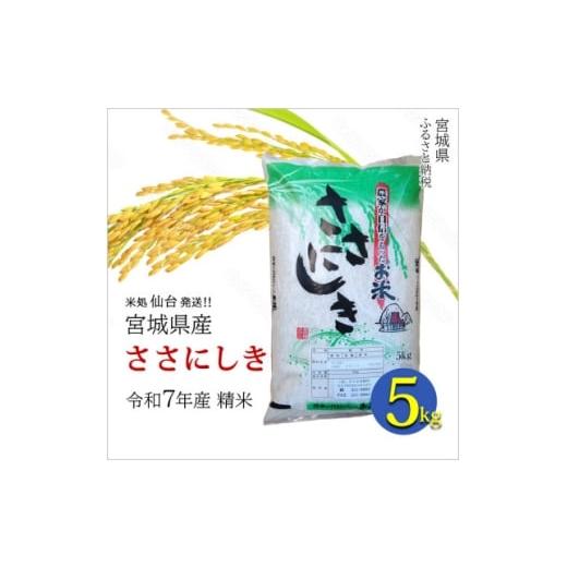 ふるさと納税 米 宮城県 - ささにしき 宮城県産 令和7年産 精米 5kg(5kg×1袋) 1700760