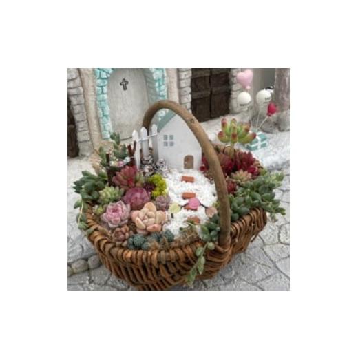 ふるさと納税 花・苗木 兵庫県 養父市 多肉BASE厳選 多肉植物の箱庭風 寄せ植え 1鉢 1715898
