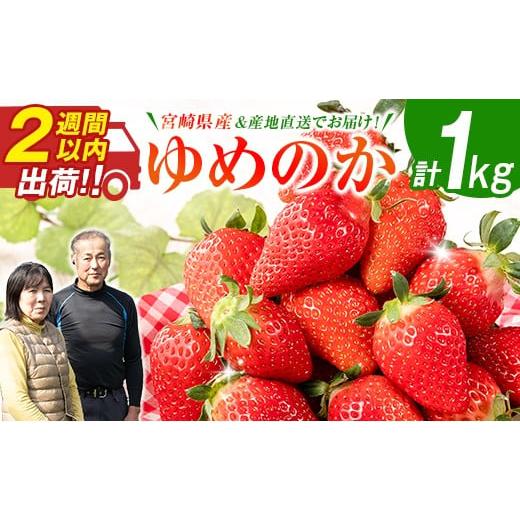 ふるさと納税 いちご 宮崎県 新富町 2週間以内出荷 宮崎県産 いちご「ゆめのか」計1kg フルーツ 期間限定 デザート ご褒美