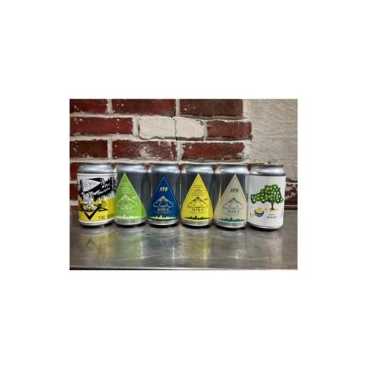 ふるさと納税 ビール 地ビール 静岡県 掛川市 カケガワビール6本セット 1697588