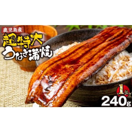 ふるさと納税 うなぎ 鹿児島県 鹿屋市 鹿児島産 超特大うなぎ蒲焼240g×1尾 KN021-042-01