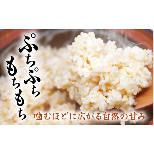 ふるさと納税 玄米 福井県 美浜町  令和7年産 定期便 6ヶ月連続お届け 長谷川農園の コシヒカリ 玄米 5kg × 6回 (計30kg) お米 こしひかり 5キロ 玄米 ブラン…の画像
