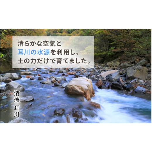 ふるさと納税 玄米 福井県 美浜町  令和7年産 定期便 6ヶ月連続お届け 長谷川農園の コシヒカリ 玄米 5kg × 6回 (計30kg) お米 こしひかり 5キロ 玄米 ブラン…の画像