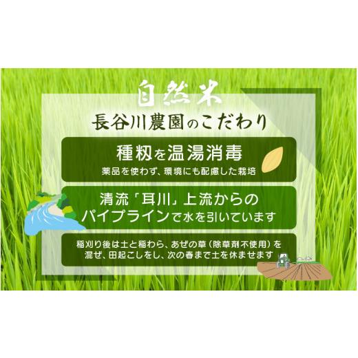 ふるさと納税 玄米 福井県 美浜町  令和7年産 定期便 6ヶ月連続お届け 長谷川農園の コシヒカリ 玄米 5kg × 6回 (計30kg) お米 こしひかり 5キロ 玄米 ブラン…の画像