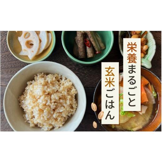ふるさと納税 玄米 福井県 美浜町  令和7年産 定期便 6ヶ月連続お届け 長谷川農園の コシヒカリ 玄米 5kg × 6回 (計30kg) お米 こしひかり 5キロ 玄米 ブラン…の画像