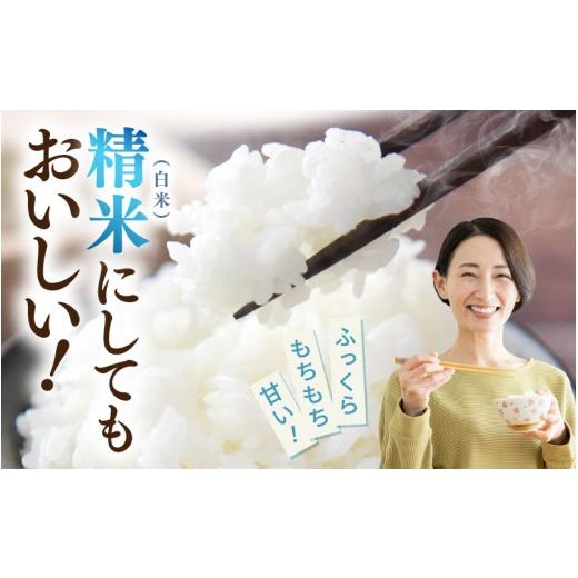 ふるさと納税 玄米 福井県 美浜町  令和7年産 定期便 6ヶ月連続お届け 長谷川農園の コシヒカリ 玄米 5kg × 6回 (計30kg) お米 こしひかり 5キロ 玄米 ブラン…の画像
