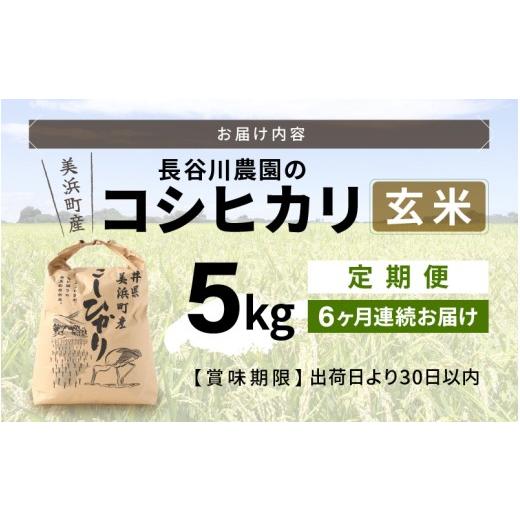 ふるさと納税 玄米 福井県 美浜町  令和7年産 定期便 6ヶ月連続お届け 長谷川農園の コシヒカリ 玄米 5kg × 6回 (計30kg) お米 こしひかり 5キロ 玄米 ブラン…の画像