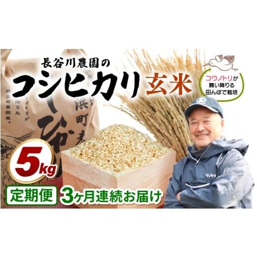 ふるさと納税 米 コシヒカリ 福井県 美浜町 令和7年産 定期便 3ヶ月連続お届け 長谷川農園の コシヒカリ 玄米 5kg × 3回 (計15kg) お米 こしひかり 5キロ 玄…
