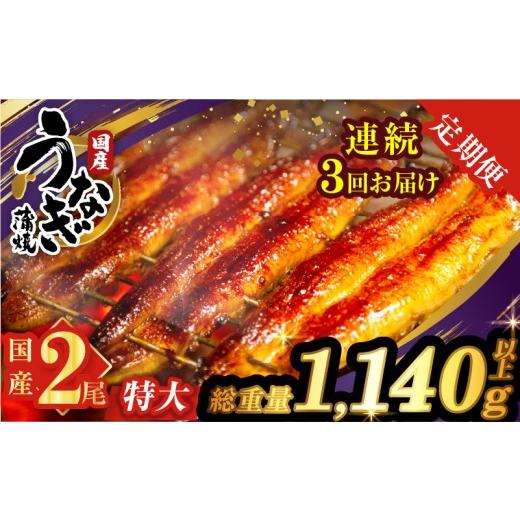ふるさと納税 加工品等 宮崎県 都農町 3回連続定期便 うなぎ蒲焼特大2尾(さんしょう・たれ付き)総重量1140g以上 鰻 魚 魚介 加工品 国産_T026-0061-R 3回連続…