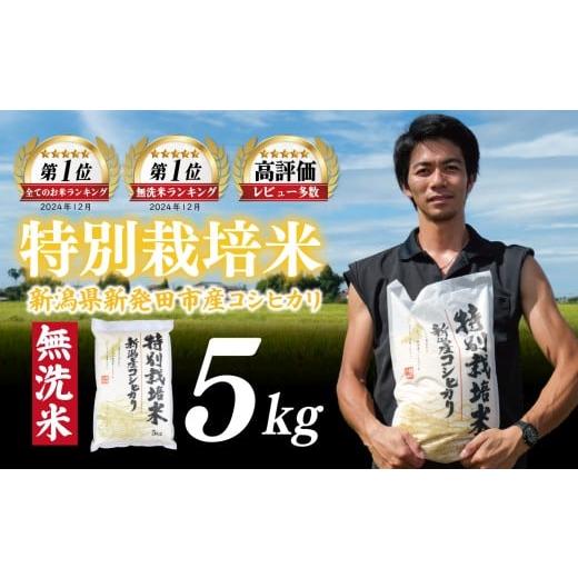ふるさと納税 無洗米 新潟県 新発田市 先行予約 令和8年産 無洗米 コシヒカリ 5kg 特別栽培米 こしひかり 米 お米 こめ 新潟米 新潟県産 新潟産 新潟 新潟県 …
