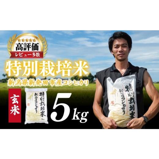 ふるさと納税 米 コシヒカリ 新潟県 新発田市 先行予約 令和8年産 コシヒカリ 玄米 5kg 特別栽培米 こしひかり 米 お米 こめ 新潟米 新潟県産 新潟産 新潟 新…