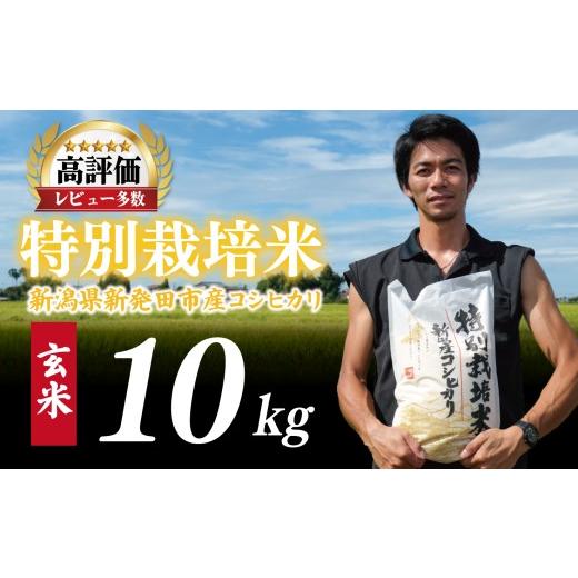 ふるさと納税 米 コシヒカリ 新潟県 新発田市 先行予約 令和8年産 コシヒカリ 玄米 10kg 特別栽培米 こしひかり 米 お米 こめ 新潟米 新潟県産 新潟産 新潟 …_1